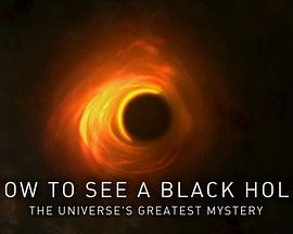 纪录片《如何看见黑洞：宇宙的终极秘密  How to See a Black Hole: The Universe's Greatest Mystery》（2019英国）--高清4K/1080P迅雷BT资源下载