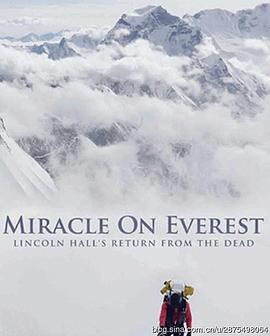 纪录片《奇迹珠峰  Miracle on Everest》（2008澳大利亚）--高清4K/1080P迅雷BT资源下载