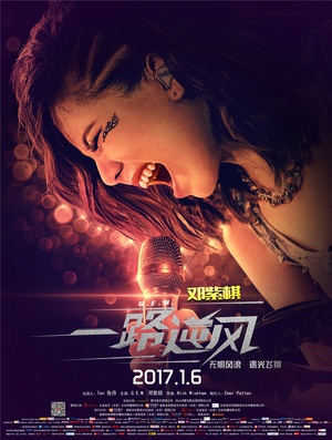 纪录片《一路逆风》（2017中国大陆）--高清4K/1080P迅雷BT资源下载