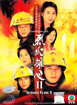 电视剧《烈火雄心2》（2002中国香港）--高清4K/1080P迅雷BT资源下载