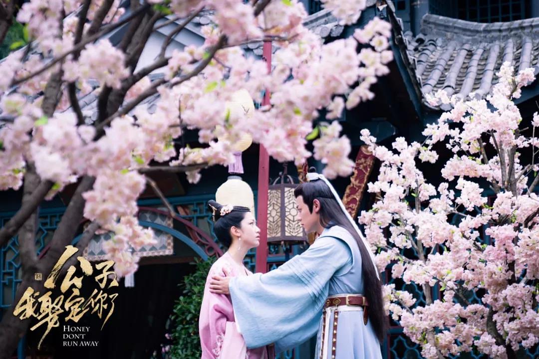 电视剧《公子，我娶定你了》（2020中国大陆）--高清4K/1080P迅雷BT资源下载