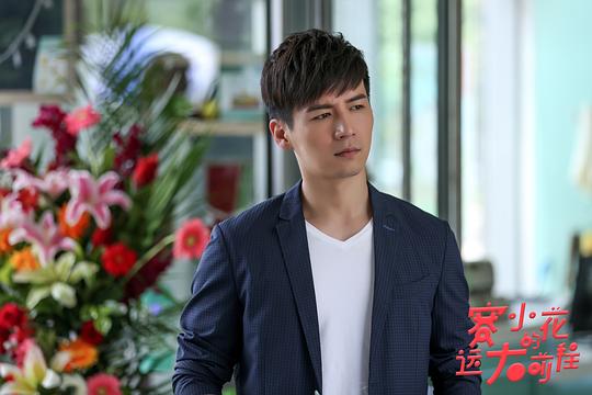 电视剧《赛小花的远大前程》（2017中国大陆）--高清4K/1080P迅雷BT资源下载