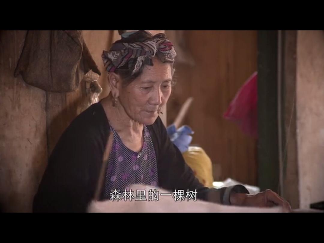 电视剧《寻找手艺》（2017中国大陆）--高清4K/1080P迅雷BT资源下载
