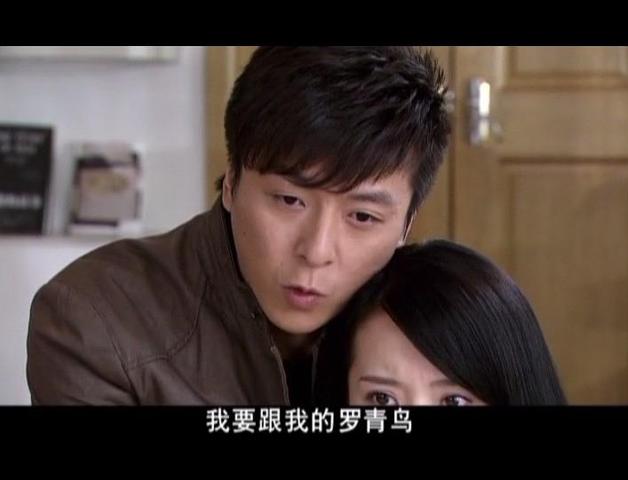 电视剧《经营婚姻》（2012中国大陆）--高清4K/1080P迅雷BT资源下载