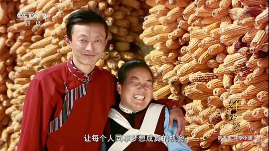 电视剧《辉煌中国》（2017中国大陆）--高清4K/1080P迅雷BT资源下载