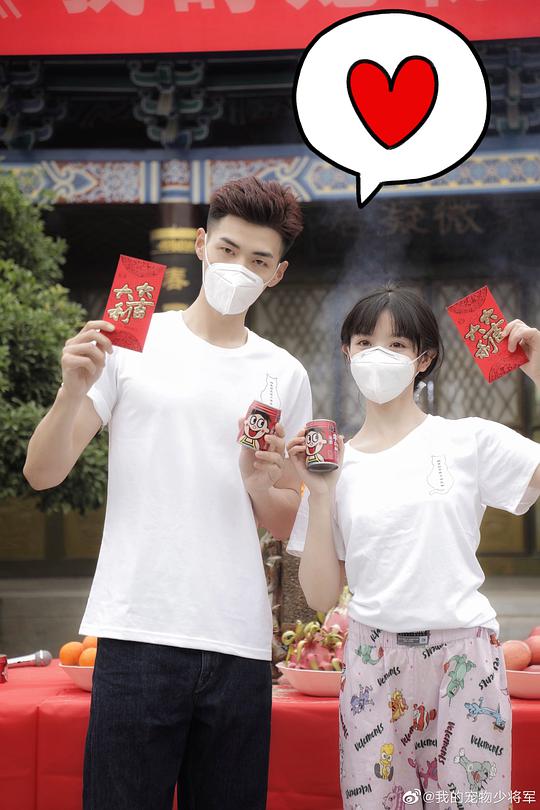 电视剧《我的宠物少将军》（2021中国大陆）--高清4K/1080P迅雷BT资源下载