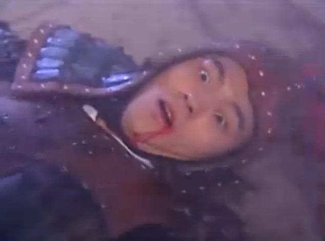 电视剧《乌龙闯情关》（2001中国大陆）--高清4K/1080P迅雷BT资源下载