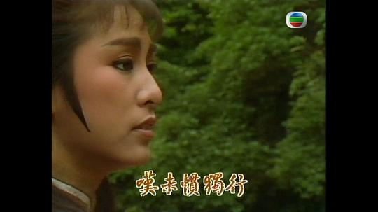 电视剧《少林与咏春  少林與詠春》（香港）--高清4K/1080P迅雷BT资源下载