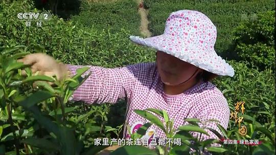 电视剧《辉煌中国》（2017中国大陆）--高清4K/1080P迅雷BT资源下载
