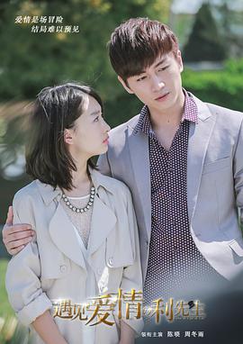 电视剧《遇见爱情的利先生》（2017中国大陆）--高清4K/1080P迅雷BT资源下载