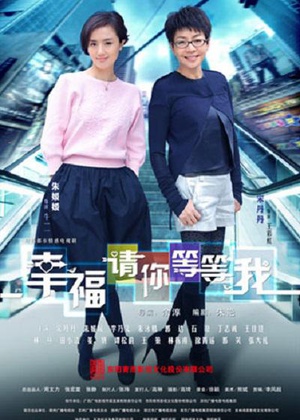 电视剧《幸福请你等等我》（2014中国大陆）--高清4K/1080P迅雷BT资源下载
