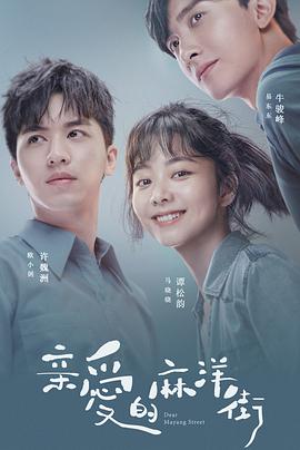 电视剧《亲爱的麻洋街》（2020中国大陆）--高清4K/1080P迅雷BT资源下载