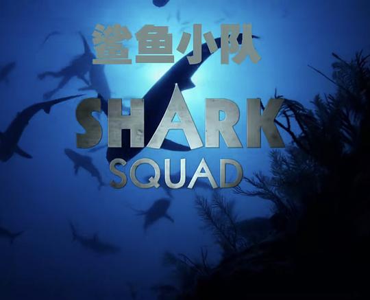 电视剧《Shark Squad Season 1  Shark Squad》（2018美国）--高清4K/1080P迅雷BT资源下载