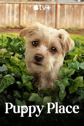 电视剧《狗狗天地 第二季  Puppy Place》（2022美国）--高清4K/1080P迅雷BT资源下载