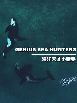 电视剧《海洋天才小猎手  Genius Sea Hunters》（2020法国）--高清4K/1080P迅雷BT资源下载