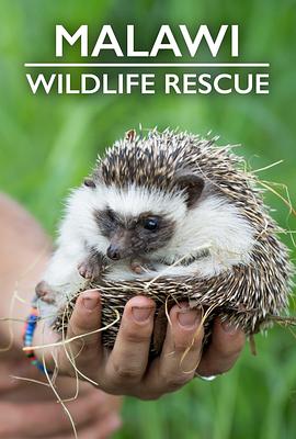 电视剧《Malawi Wildlife Rescue Season 1  Malawi Wildlife Rescue》（2022英国）--高清4K/1080P迅雷BT资源下载