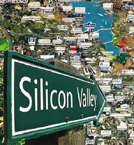 电视剧《硅谷的秘密  Secrets Of Silicon Valley》（2017英国）--高清4K/1080P迅雷BT资源下载