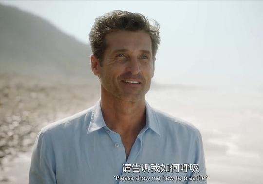 电视剧《实习医生格蕾 第十七季  Grey's Anatomy》（2020美国）--高清4K/1080P迅雷BT资源下载