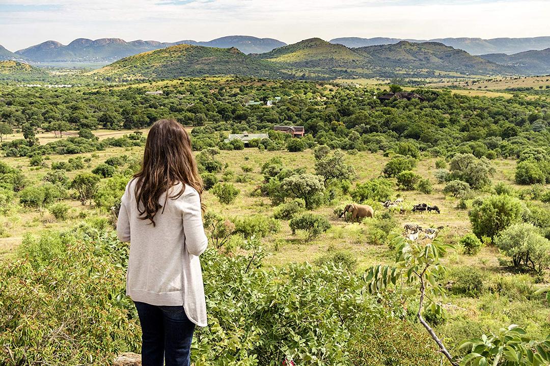 电视剧《爱在旅途  Love on Safari》（2018加拿大）--高清4K/1080P迅雷BT资源下载