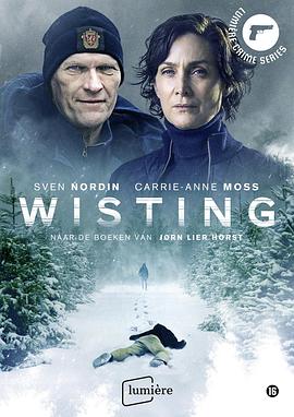 电视剧《连环杀人犯被杀事件  Wisting》（2019挪威）--高清4K/1080P迅雷BT资源下载