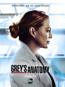 电视剧《实习医生格蕾 第十七季  Grey's Anatomy》（2020美国）--高清4K/1080P迅雷BT资源下载