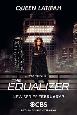 电视剧《伸冤人 第一季  The Equalizer》（2021美国）--高清4K/1080P迅雷BT资源下载