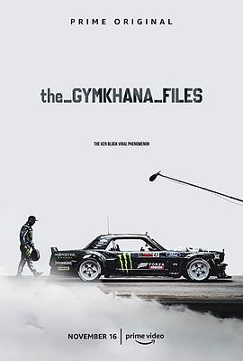 电视剧《金卡纳档案 第一季  The Gymkhana Files》（2018美国）--高清4K/1080P迅雷BT资源下载