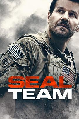 电视剧《海豹突击队 第二季  SEAL Team》（2018美国）--高清4K/1080P迅雷BT资源下载