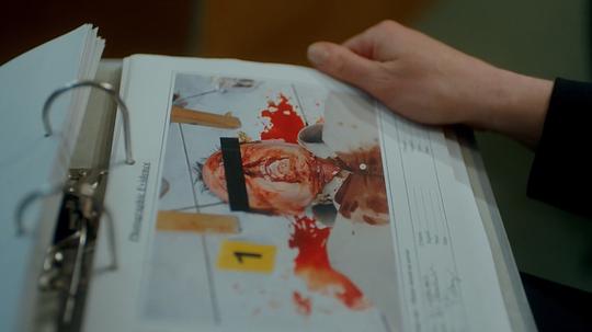 电视剧《苹果园  Apple Tree Yard》（2017英国）--高清4K/1080P迅雷BT资源下载