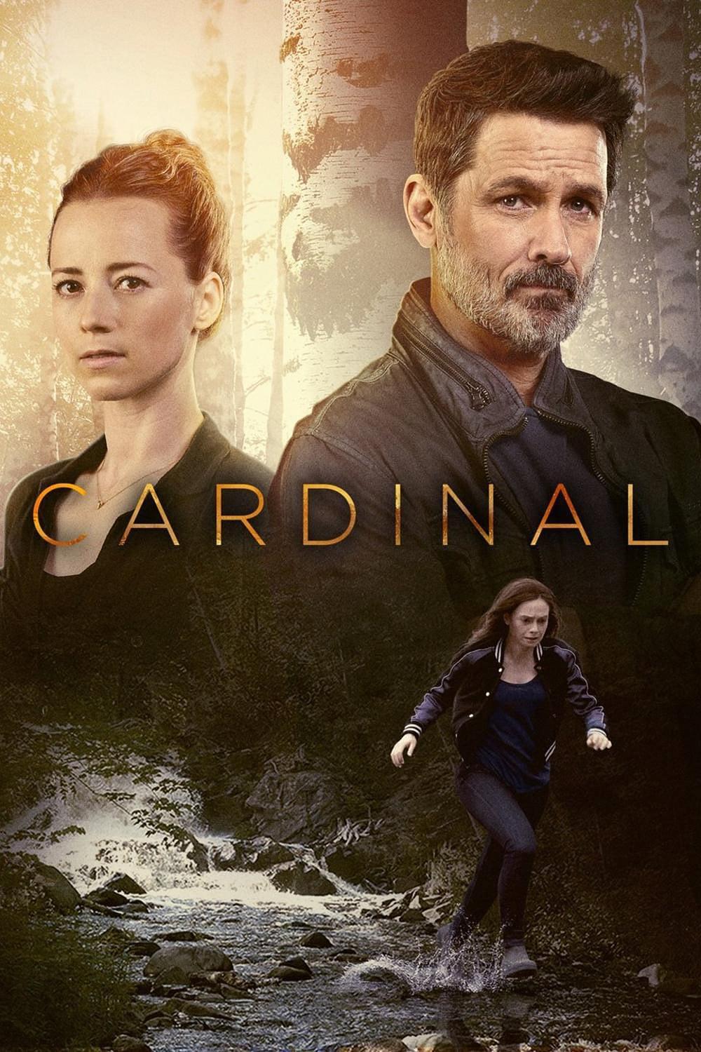 电视剧《冰血缉凶 第二季  Cardinal》（2018加拿大）--高清4K/1080P迅雷BT资源下载