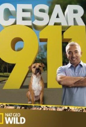 电视剧《呼叫西萨狗教官  Cesar 911》（2014美国）--高清4K/1080P迅雷BT资源下载