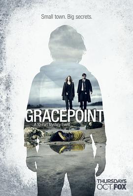 电视剧《小镇疑云(美版)  Gracepoint》（2014美国）--高清4K/1080P迅雷BT资源下载