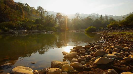 电视剧《野性缅甸：失落的自然王国  Wild Burma: Nature's Lost Kingdom》（2013英国）--高清4K/1080P迅雷BT资源下载