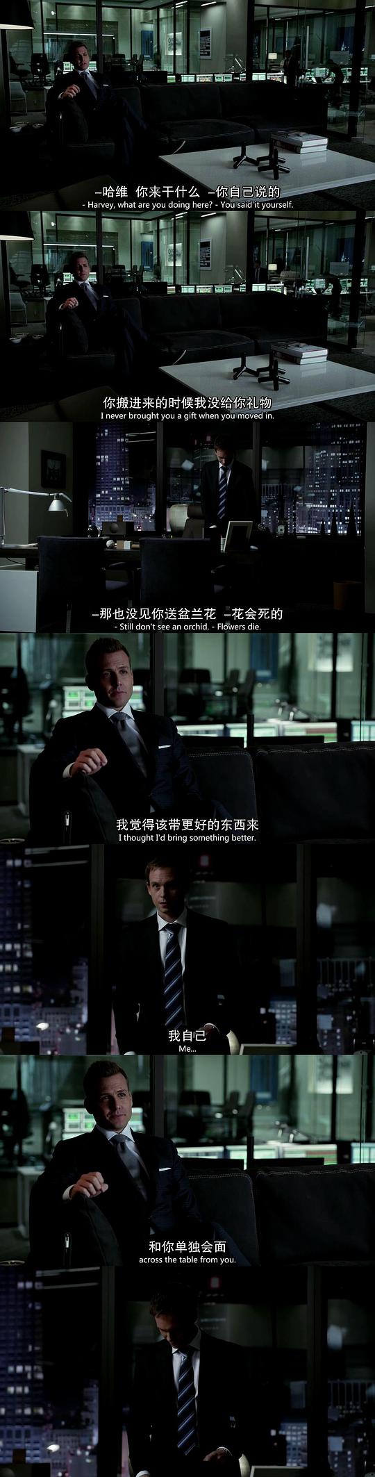 电视剧《金装律师 第四季  Suits》（2014美国）--高清4K/1080P迅雷BT资源下载