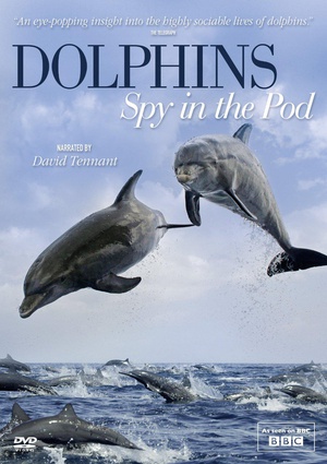 电视剧《卧底海豚帮  Dolphins - Spy in the Pod》（2014英国）--高清4K/1080P迅雷BT资源下载