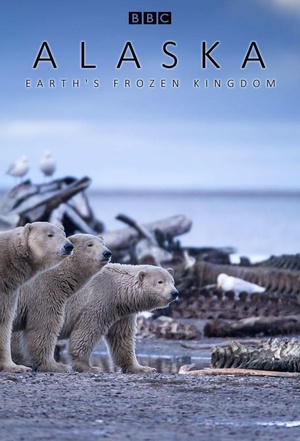 电视剧《阿拉斯加：地球上的冰冻王国  Alaska: Earth's Frozen Kingdom》（2015英国）--高清4K/1080P迅雷BT资源下载