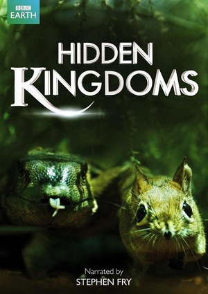 电视剧《隐秘王国  Hidden Kingdoms》（2014英国）--高清4K/1080P迅雷BT资源下载