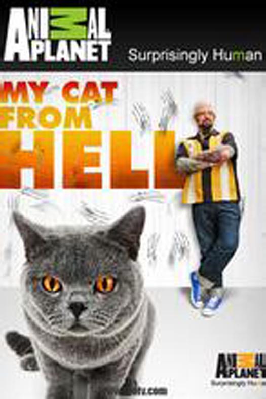 电视剧《家有恶猫 第一季  My Cat from Hell》（2011美国）--高清4K/1080P迅雷BT资源下载