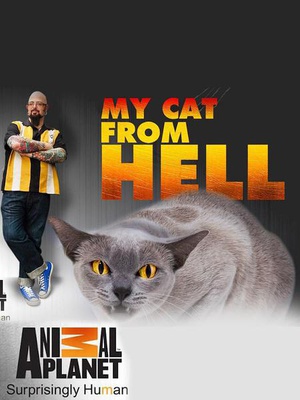 电视综艺《家有恶猫 第二季  My Cat from Hell》（2012美国）--高清4K/1080P迅雷BT资源下载