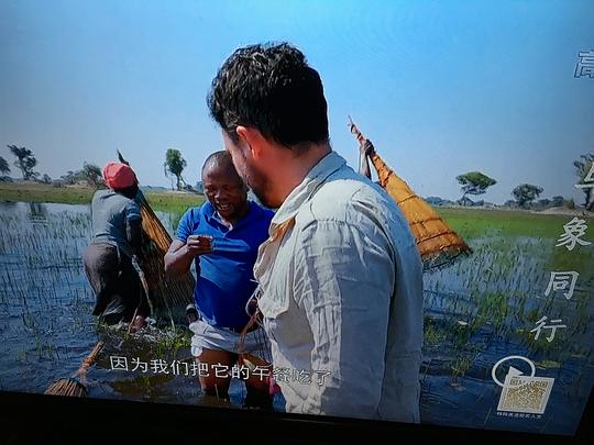 纪录片《与大象同行  Walking with Elephants》（2020英国）--高清4K/1080P迅雷BT资源下载