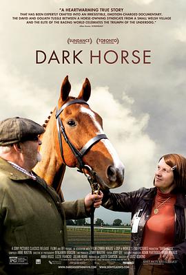 纪录片《黑马  Dark Horse》（2014英国）--高清4K/1080P迅雷BT资源下载