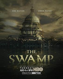 纪录片《抽干民主党  The Swamp》（2020美国）--高清4K/1080P迅雷BT资源下载