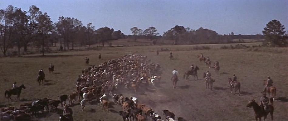 纪录片《江湖豪客  Alvarez Kelly》（1966美国）--高清4K/1080P迅雷BT资源下载