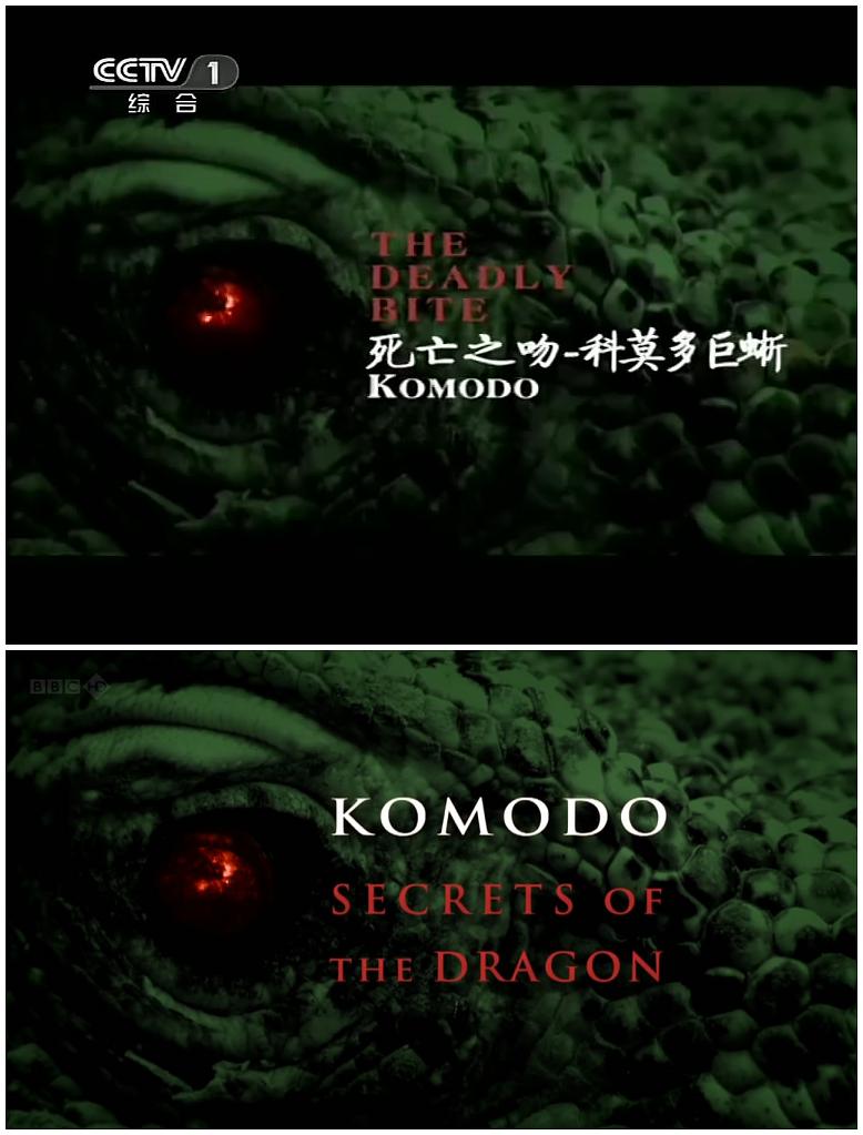 纪录片《BBC自然世界：死亡之吻—科莫多巨蜥  The Natural World--Komodo: The Deadly Bite》（2011英国）--高清4K/1080P迅雷BT资源下载