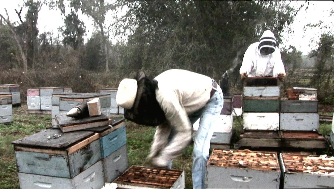 纪录片《蜜蜂的消亡  Vanishing of the Bees》（2009美国）--高清4K/1080P迅雷BT资源下载