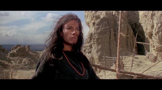 纪录片《印第安人乔  Navajo Joe》（1966意大利 / 西班牙）--高清4K/1080P迅雷BT资源下载