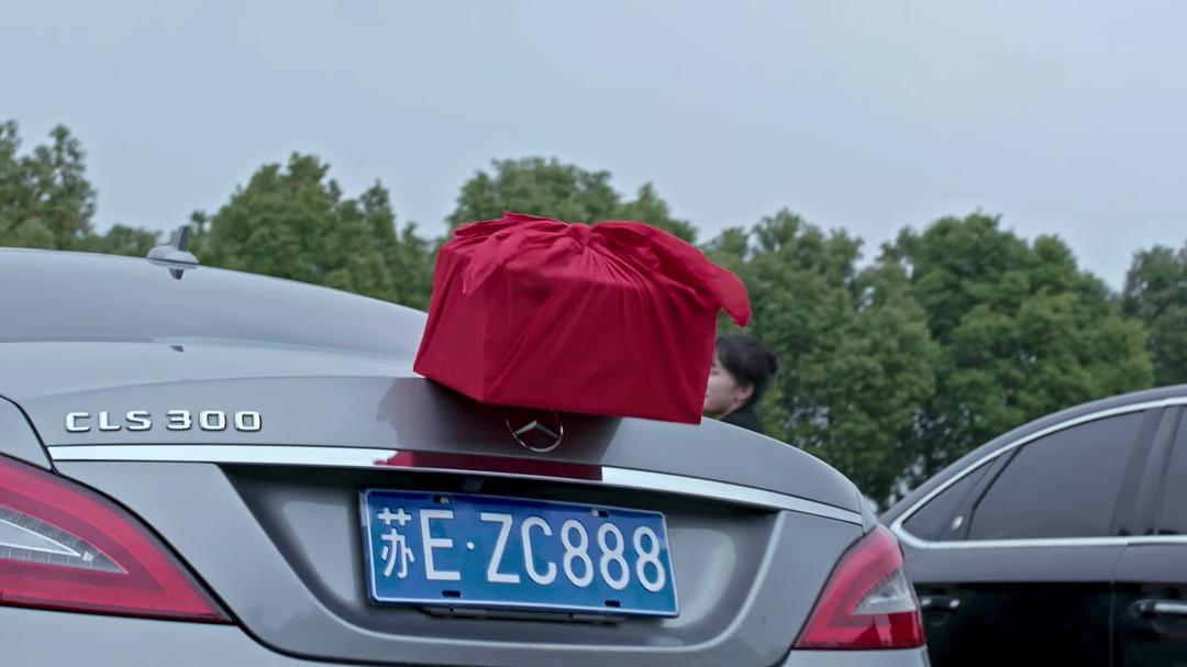 电视剧《都挺好》（2019中国大陆）--高清4K/1080P迅雷BT资源下载