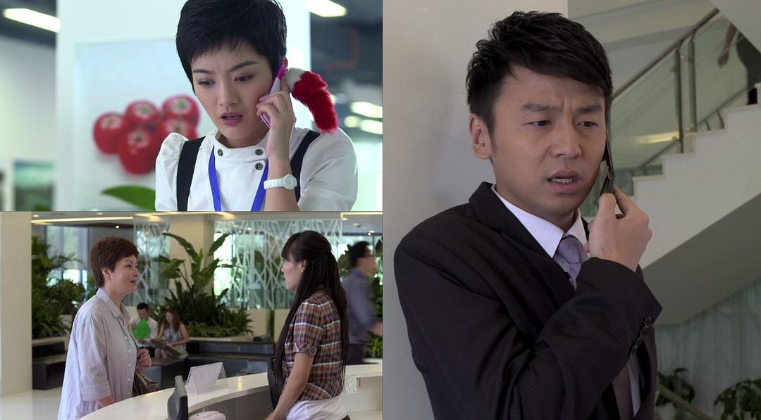 电视剧《丈母娘来了》（2011中国大陆）--高清4K/1080P迅雷BT资源下载