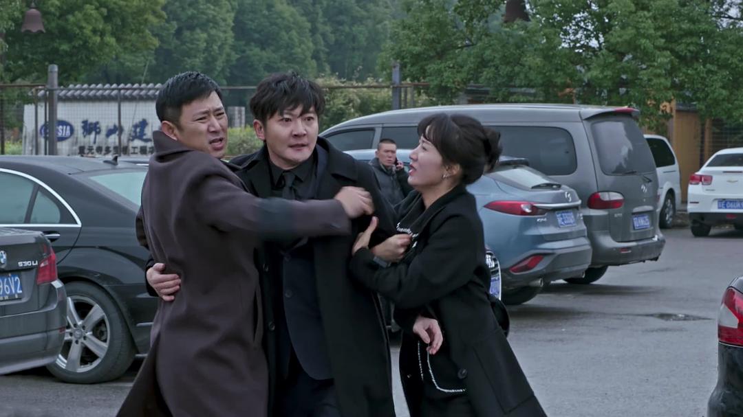 电视剧《都挺好》（2019中国大陆）--高清4K/1080P迅雷BT资源下载