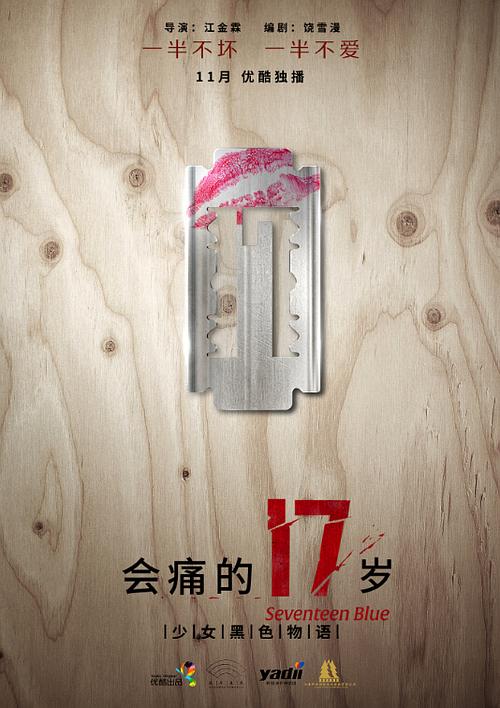 电视剧《会痛的17岁》（2015中国大陆）--高清4K/1080P迅雷BT资源下载